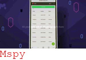 Download Mspy for Pc